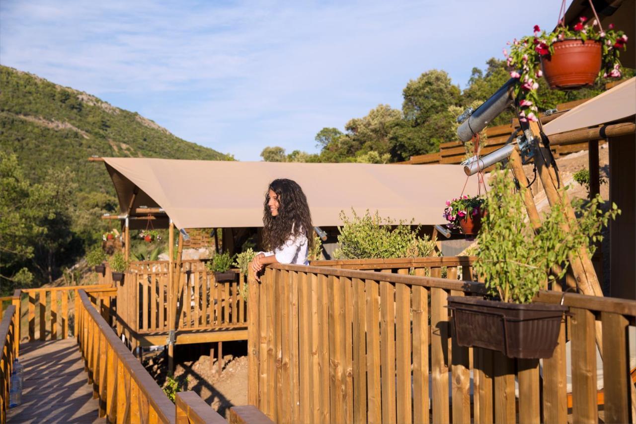Sea Glamping Otel Kotor Dış mekan fotoğraf